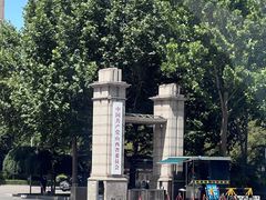 -碑林公园