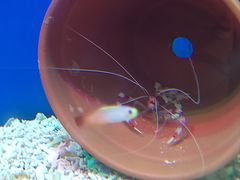 -海合安武汉极地海洋公园
