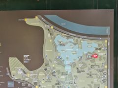 -墨尔本皇家植物园