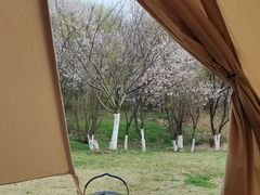 -钟山体育运动公园