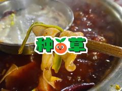 -渝味黄姐火锅(黄泥村店)