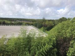 -上海崇明金茂凯悦酒店