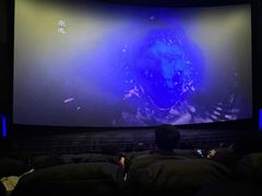 -寰映影城(大融城激光IMAX店)