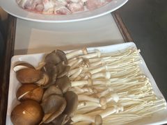-百年果林椰子鸡(中洲店)