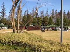 -上海长兴岛郊野公园