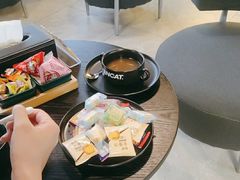 -梵猫·新养生(加州广场店)