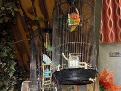 -西西里轰趴日租聚会别墅·团建拓展
