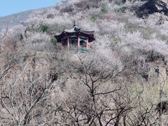 -妙峰山风景名胜区