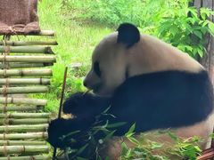 -大连森林动物园