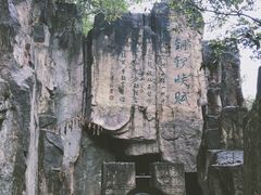 -铁山坪森林公园