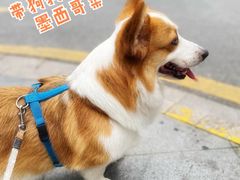 -Luchador摔跤手墨西哥餐厅(恒宇广场店)