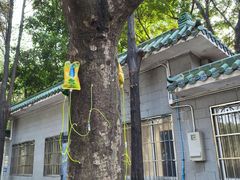 -晓港公园