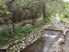 -静之湖度假区