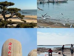 -巧克力渔家.小船海鲜胶东菜(万平口店)