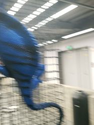 -斑斓色彩沙龙
