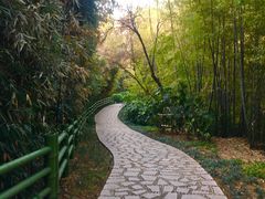 -菊花台公园