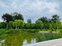 -莲花池公园