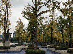 -百林公园-两江幸福广场