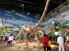 -自贡恐龙博物馆