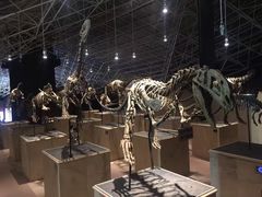 -世界恐龙谷景区