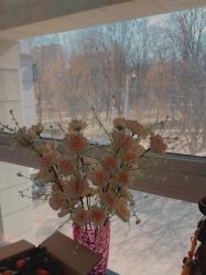 -丸碧科技护肤中心