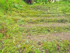 -鹿院坪生态旅游景区