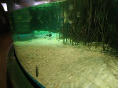 -福州罗源湾海洋世界旅游区