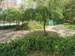 -方庄体育公园