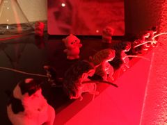 -MOSSO·Liveshow(M3香港广场店)