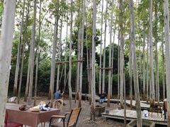 -桉树林A coffee 森林餐厅(三圣乡店)