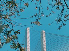 -南浦大桥长途旅游客运站