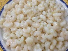 清炒河虾仁-协和菜馆(凤凰街店)