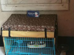 -交通银行(上海市分行营业部)