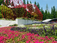 -东平国家森林公园