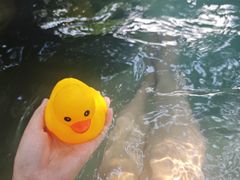 -湖泉半山温泉(湖泉生态园)