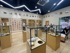 -袖虎猫馆(十亩地店)