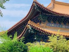 -西安大兴善寺