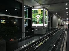 -福州长乐国际机场