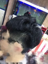 -东方美妍