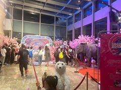 -珠海横琴长隆《卡卡虎奇遇记》