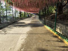 -东莞观音山旅游风景区