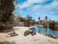 -威勒比开放式动物园