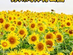 -苏州湾体育公园
