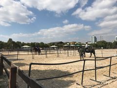 -松声马术俱乐部