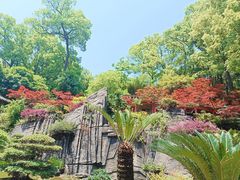 -南山植物园