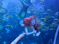 -华夏文旅海洋公园