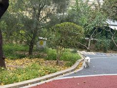 -长辛店二七公园