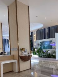 -深圳美莱医疗美容医院