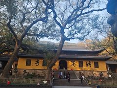 -普陀山风景名胜区-法雨禅寺