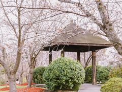 -顾村公园3号门停车场